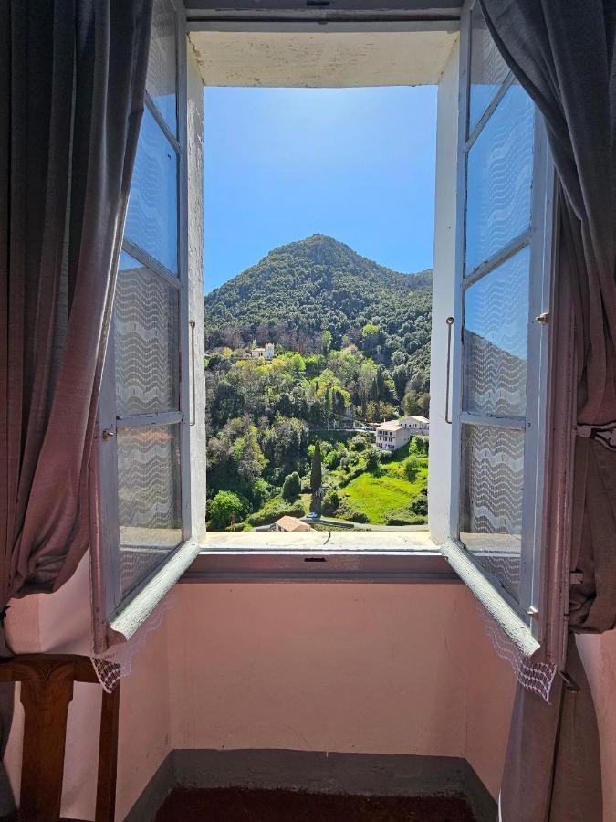 Palazzu Massoni, Magnifique Vue Sur La Mer Et La Montagne, Clim, Wifi, Parking Gratuit Cervione Extérieur photo