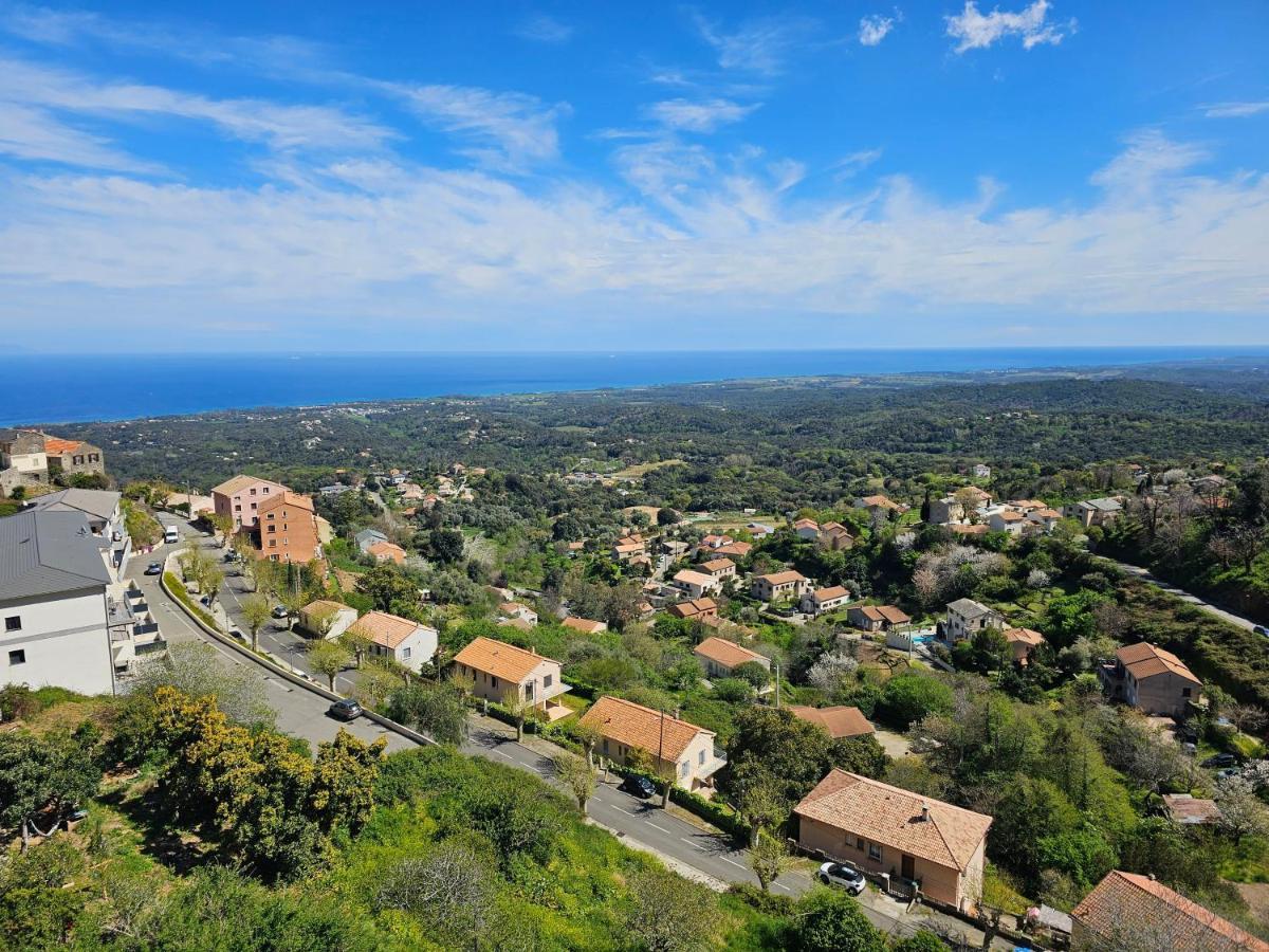 Palazzu Massoni, Magnifique Vue Sur La Mer Et La Montagne, Clim, Wifi, Parking Gratuit Cervione Extérieur photo